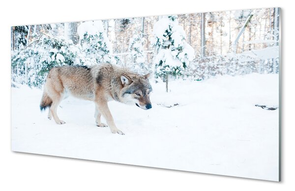 Panouri de sticlă pădure de iarnă Wolf