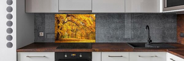 Panou perete bucătărie Toamna în parc