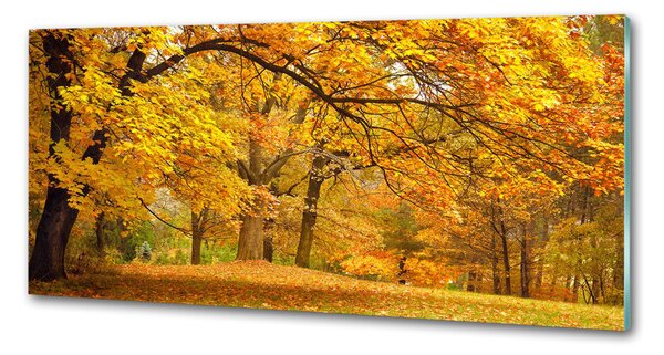 Panou perete bucătărie Toamna în parc