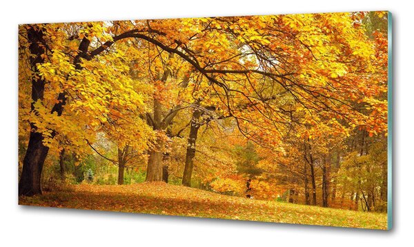 Panou perete bucătărie Toamna în parc