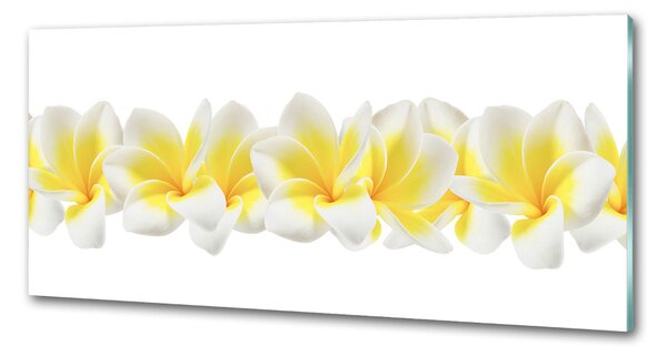 Panou perete bucătărie plumeria