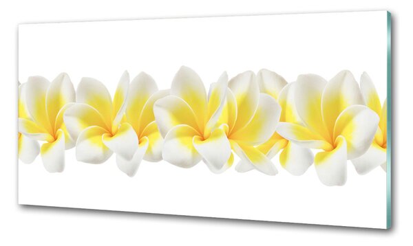 Panou perete bucătărie plumeria