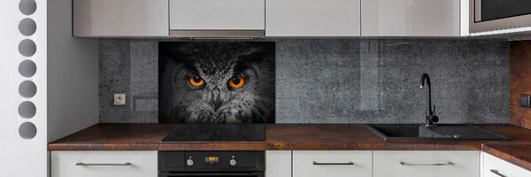 Panou sticla securizata bucatarie ochi diabolici bufniță
