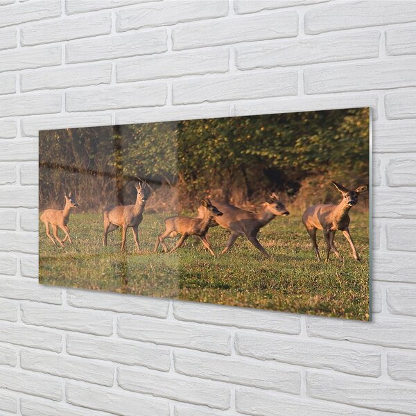 Panouri de sticlă Deer Golf răsărit de soare