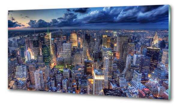 Panou perete bucătărie New York pasăre de zbor