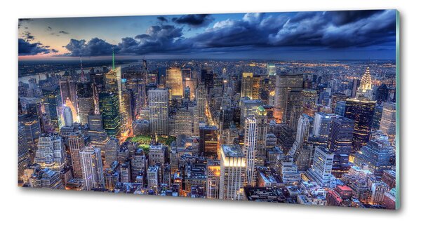 Panou perete bucătărie New York pasăre de zbor