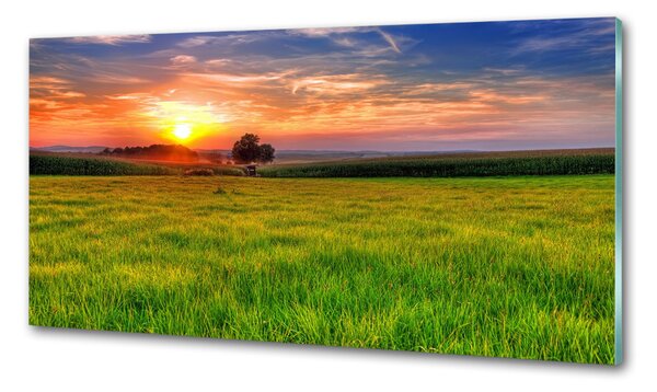Panou sticla securizata bucatarie Sunset Meadow