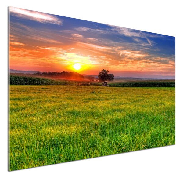 Panou sticla securizata bucatarie Sunset Meadow