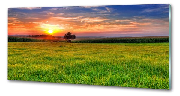 Panou sticla securizata bucatarie Sunset Meadow