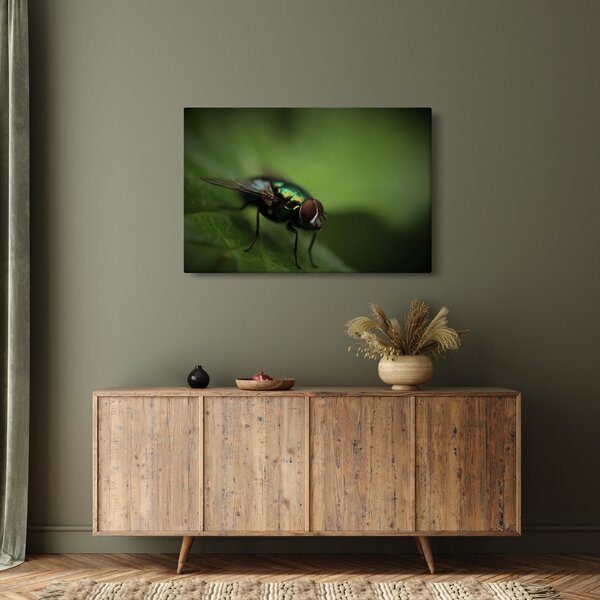 Tablou - Musca (90x60 cm)