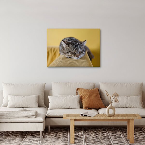 Tablou cu pisica pe fotoliu (70x50 cm)