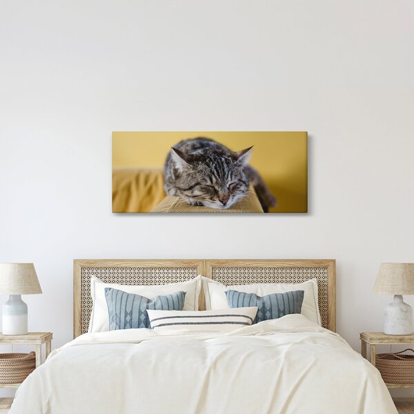 Tablou cu pisica pe fotoliu (120x50 cm)