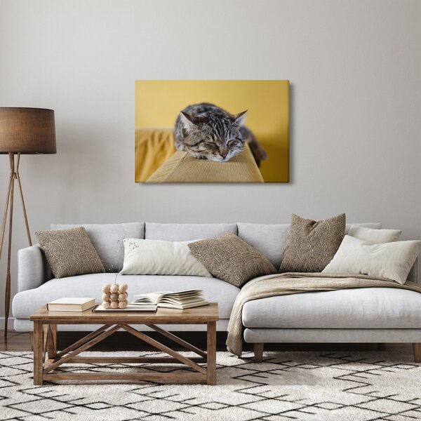 Tablou cu pisica pe fotoliu (90x60 cm)