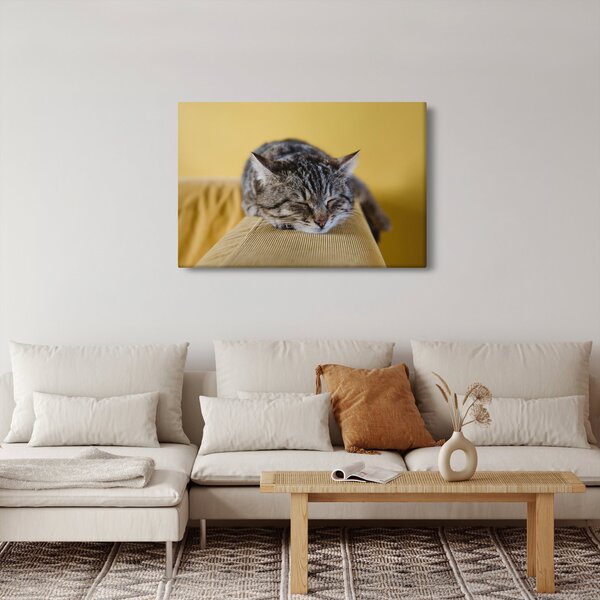 Tablou cu pisica pe fotoliu (90x60 cm)