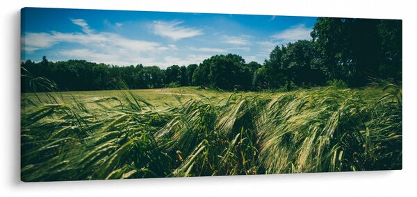 Tablou cu linca și pădure (120x50 cm)