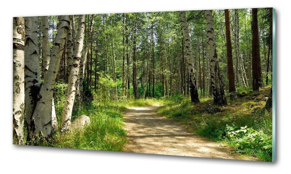 Sticlă pentru bucătărie Calea în pădure