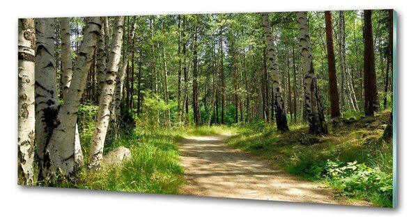 Sticlă pentru bucătărie Calea în pădure