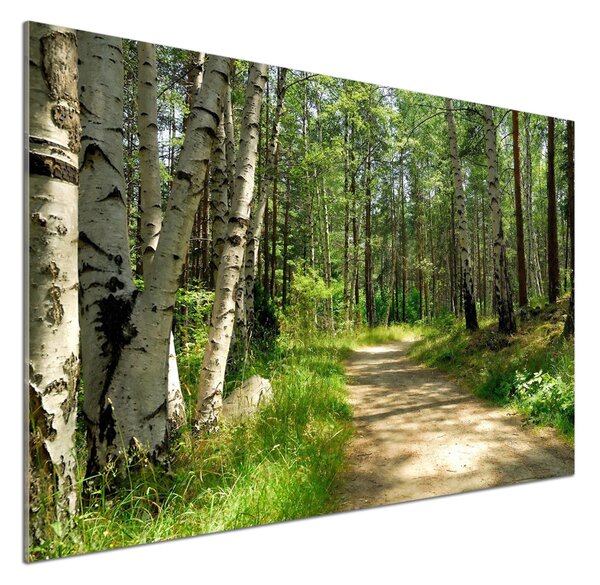 Sticlă pentru bucătărie Calea în pădure