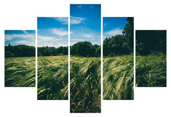 Tablou cu linca și pădure (150x105 cm)