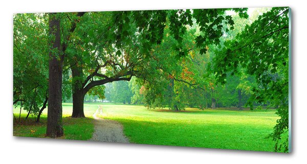 Sticlă pentru bucătărie Park din toamna