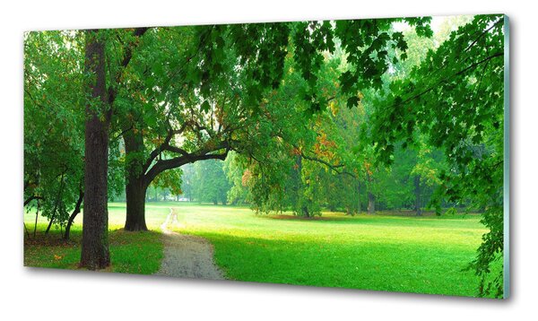Sticlă pentru bucătărie Park din toamna