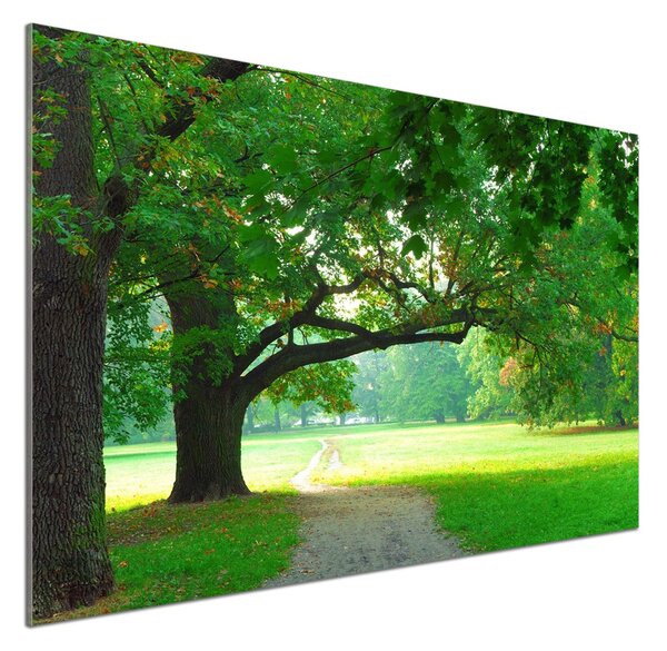 Sticlă pentru bucătărie Park din toamna