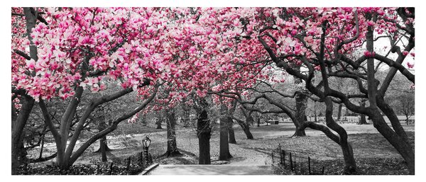 Tablou copacului magnolie (120x50 cm)