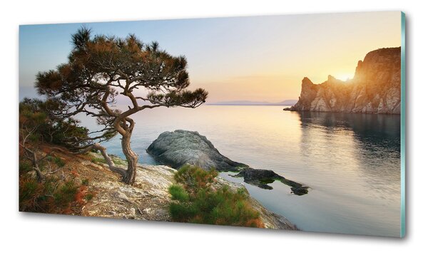 Panou de bucătărie Arborele de mare
