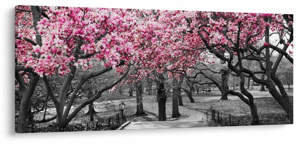 Tablou copacului magnolie (120x50 cm)