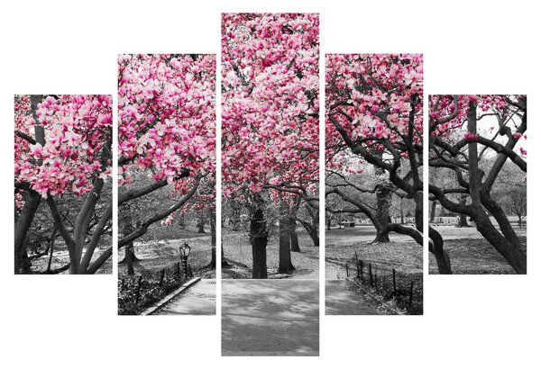 Tablou copacului magnolie (150x105 cm)