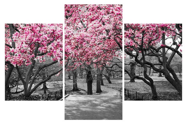 Tablou copacului magnolie (90x60 cm)