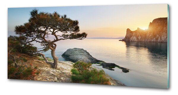 Panou de bucătărie Arborele de mare