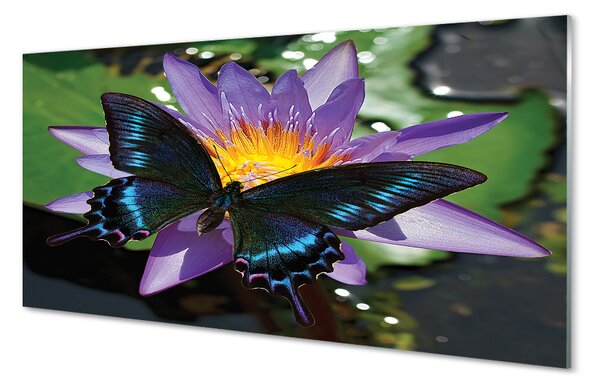 Panouri de sticlă floare fluture