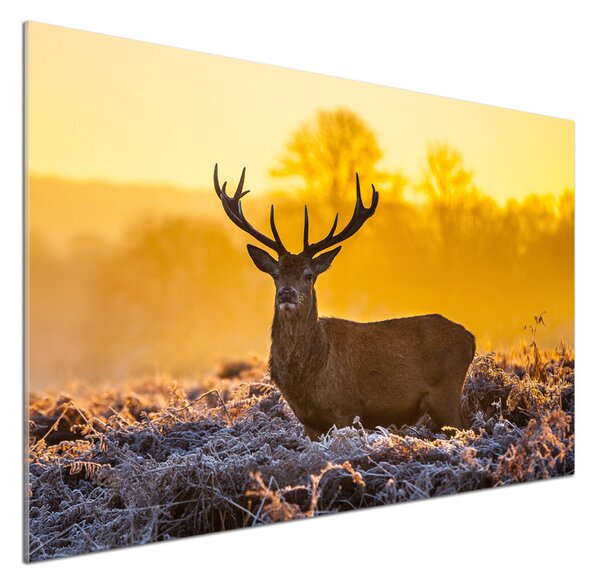 Panou de bucătărie Sunrise Deer