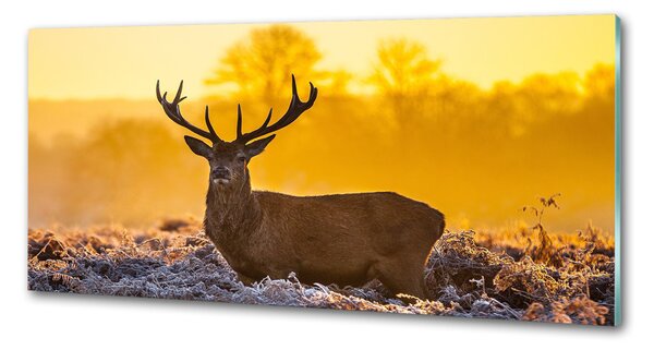 Panou de bucătărie Sunrise Deer