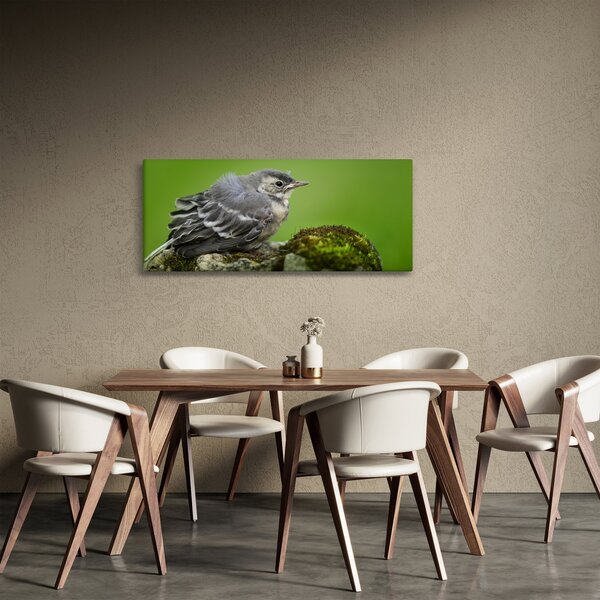 Tablou - Muscarul (120x50 cm)