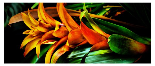 Tablou buchetului portocaliu (120x50 cm)