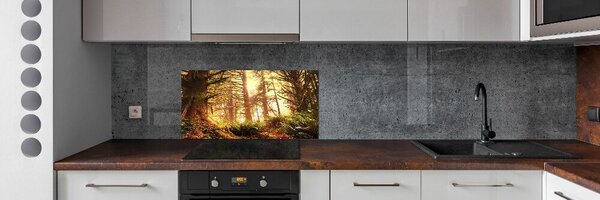 Panou sticla securizata bucatarie pădurea tropicală