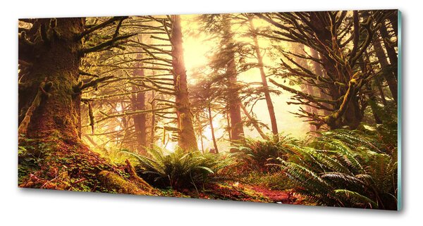 Panou sticla securizata bucatarie pădurea tropicală