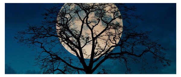Tablou copacului cu lună plină (120x50 cm)