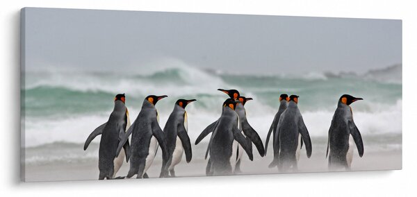 Tablou pinguini în ocean (120x50 cm)