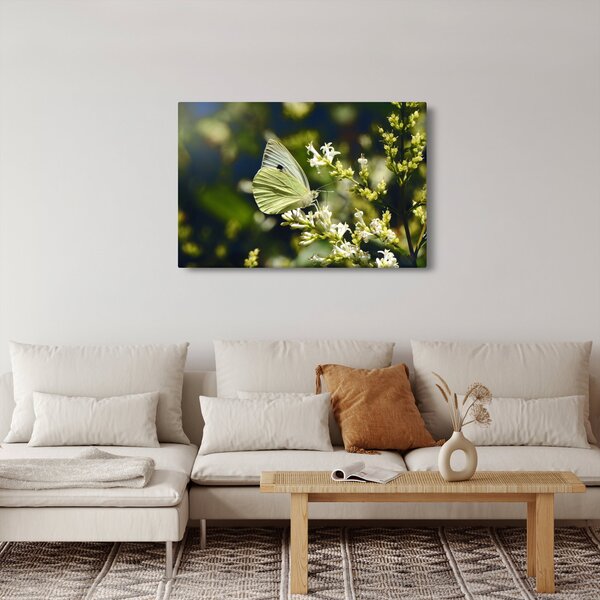 Tablou cu fluture (90x60 cm)
