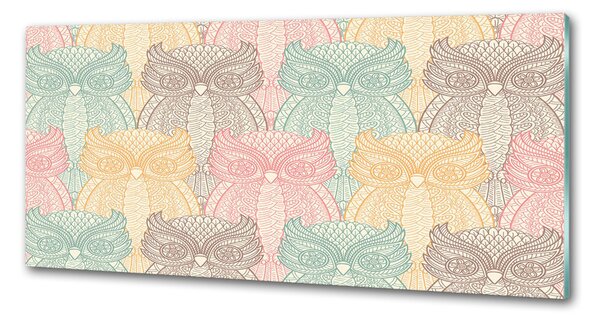Sticlă pentru bucătărie Owls