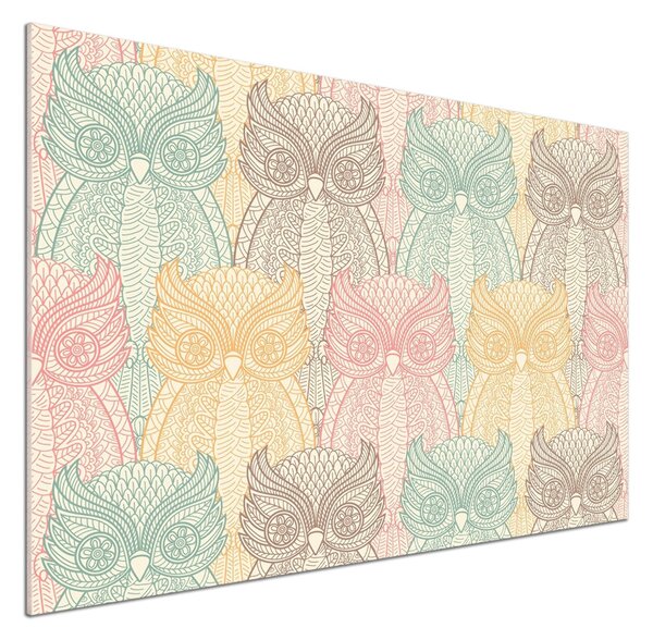 Sticlă pentru bucătărie Owls