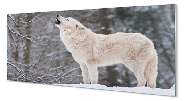 Panouri de sticlă pădure de iarnă Wolf