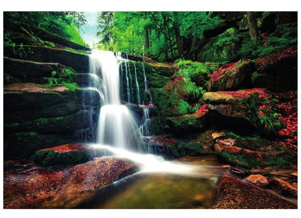 Fototapet cascada în pădure