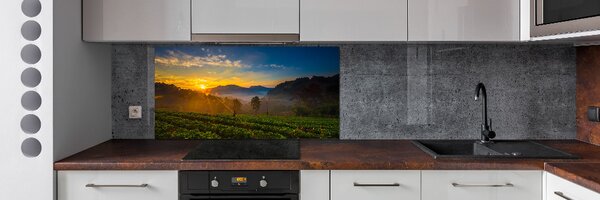 Panou sticlă decorativa bucătărie plantație de ceai