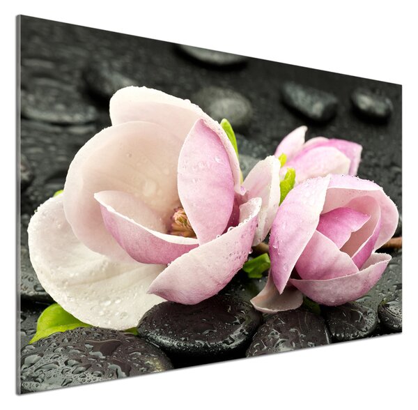 Panou sticla securizata bucatarie Magnolia Zen Piatra