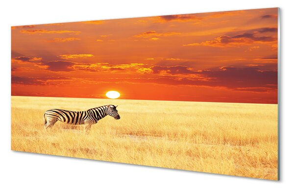 Panouri de sticlă Zebra câmp apus de soare