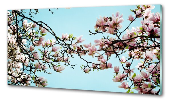 Sticlă pentru bucătărie flori magnolia